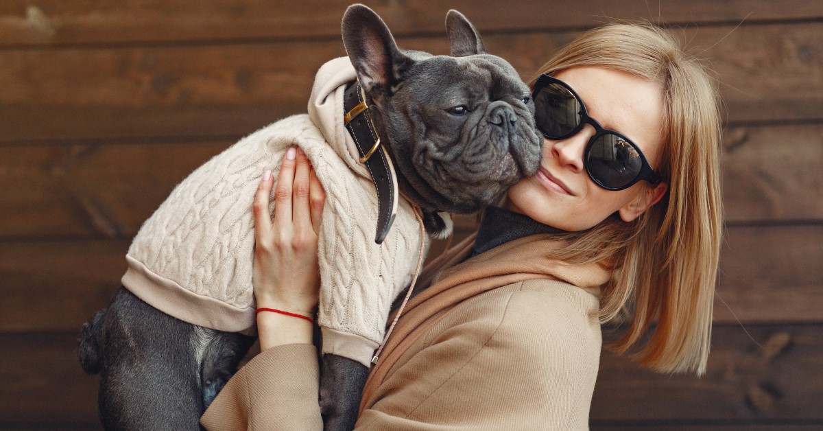 How to Choose the Right Dog Sweater